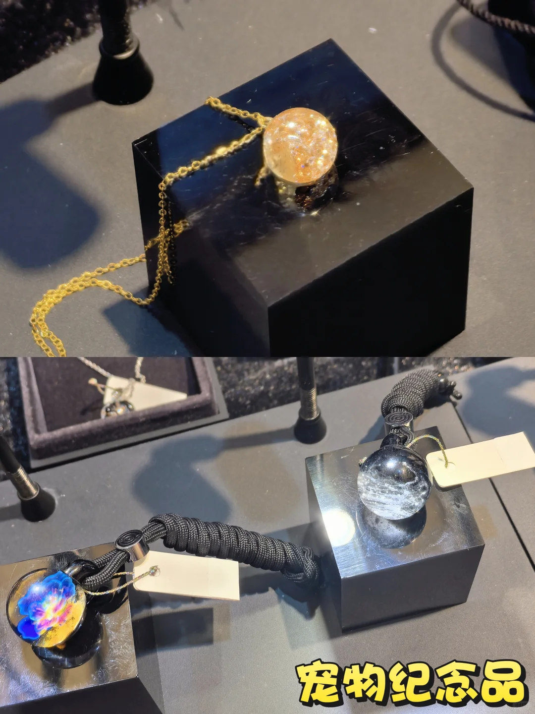 上海展会｜亚宠展2025