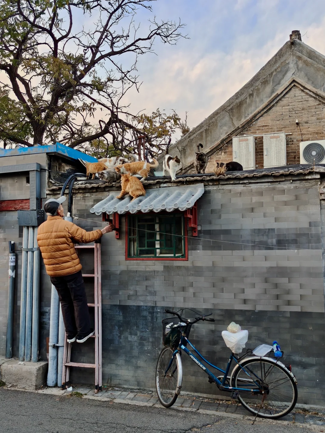 按下快门的瞬间，我眼中的世界就成了永恒?