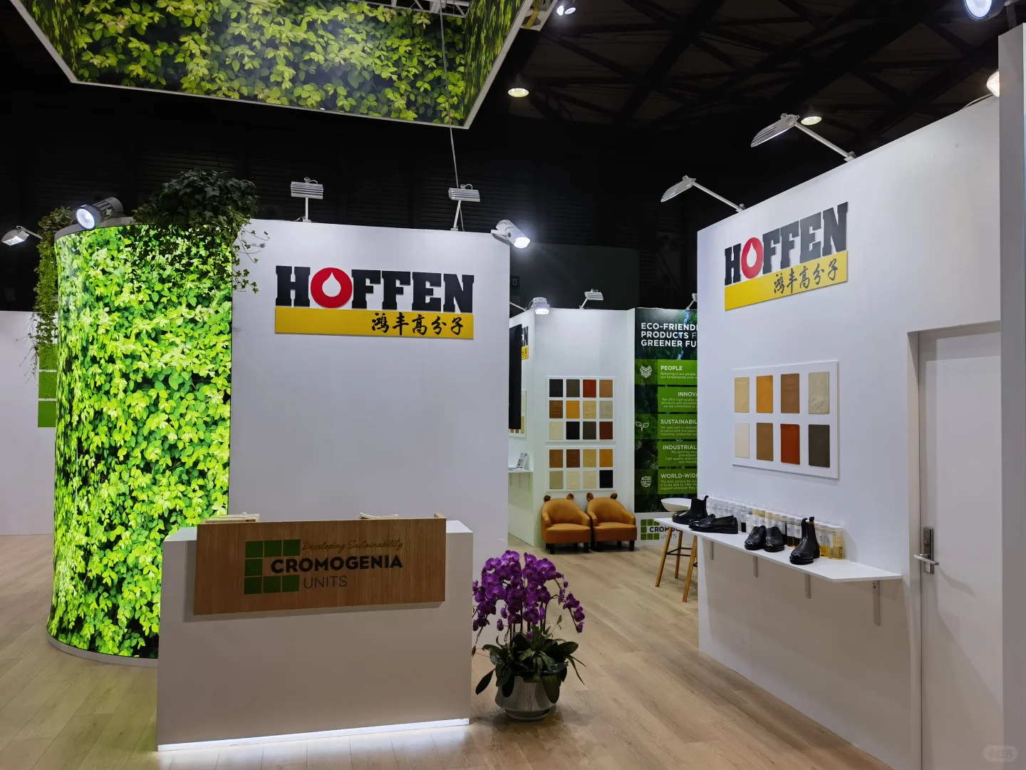 ACLE 2024 ➠ CROMOGENIA