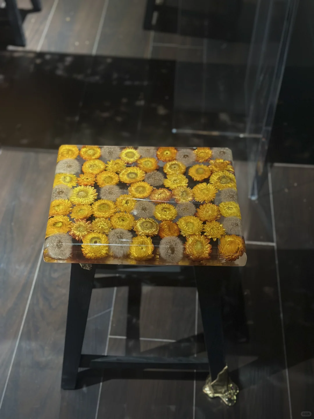 东莞设计展归来✈️