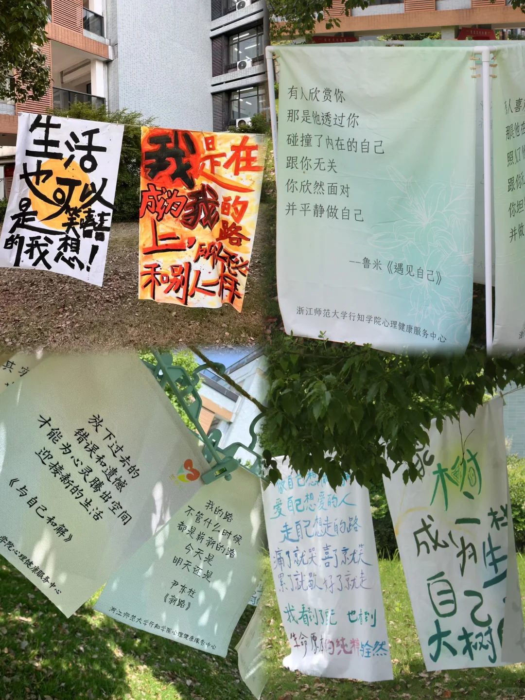 悄咪咪在学校里办个心理展