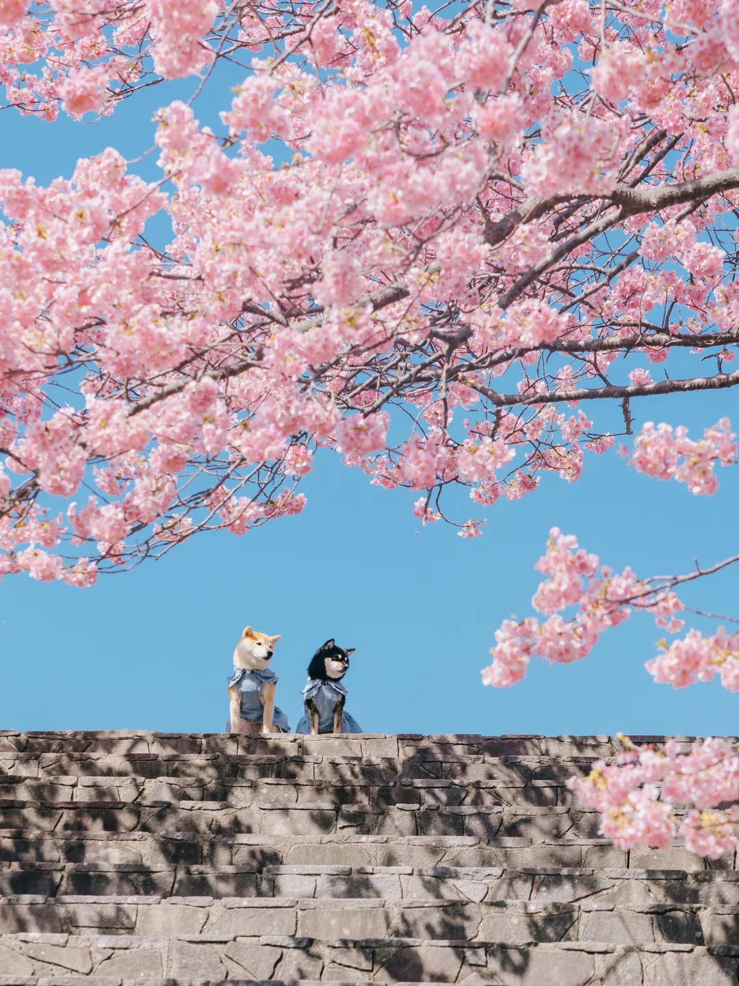 按下快门的瞬间，我眼中的世界就成了永恒?