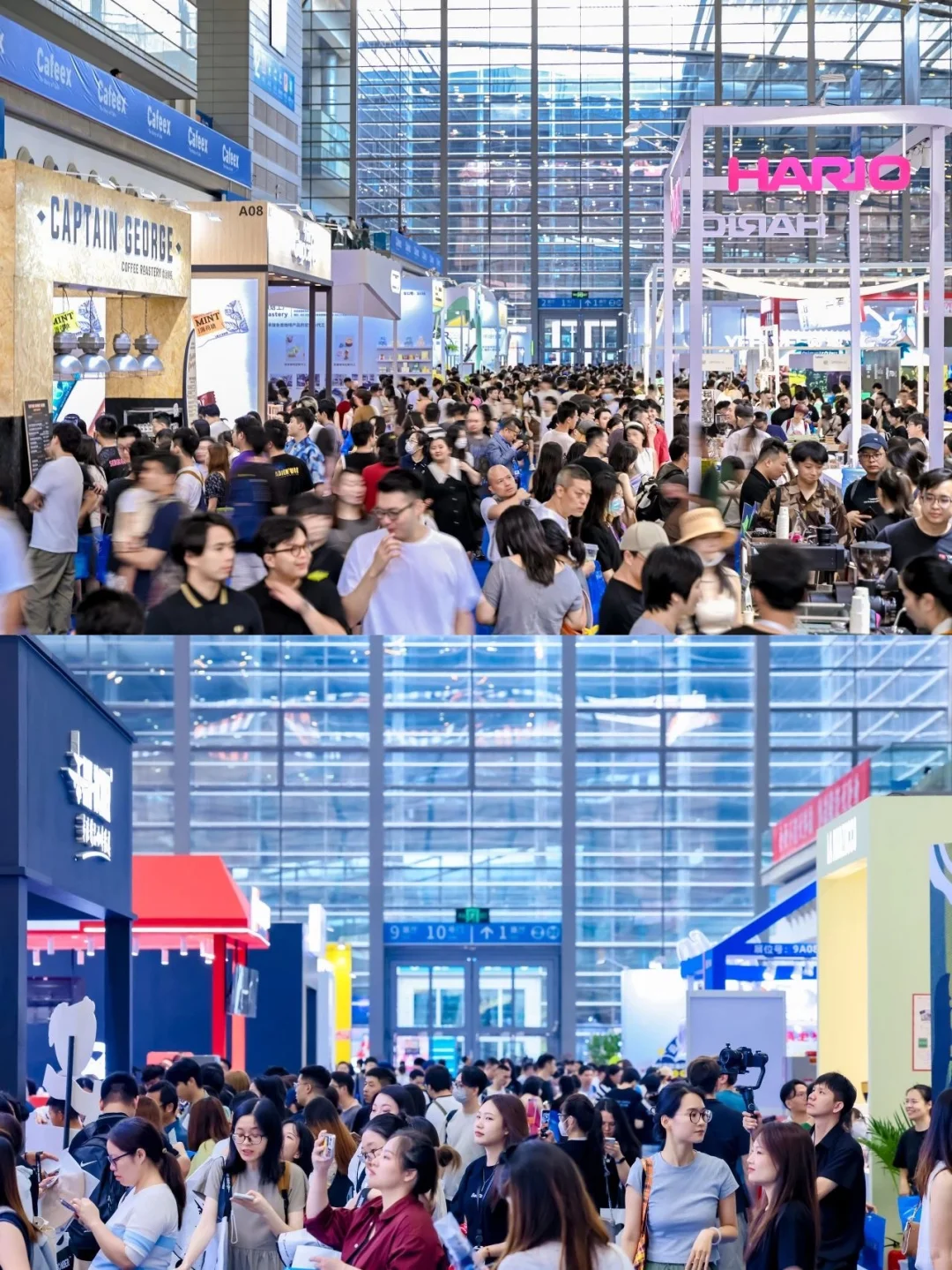 逛展攻略｜深圳咖啡展，深圳巧克力展