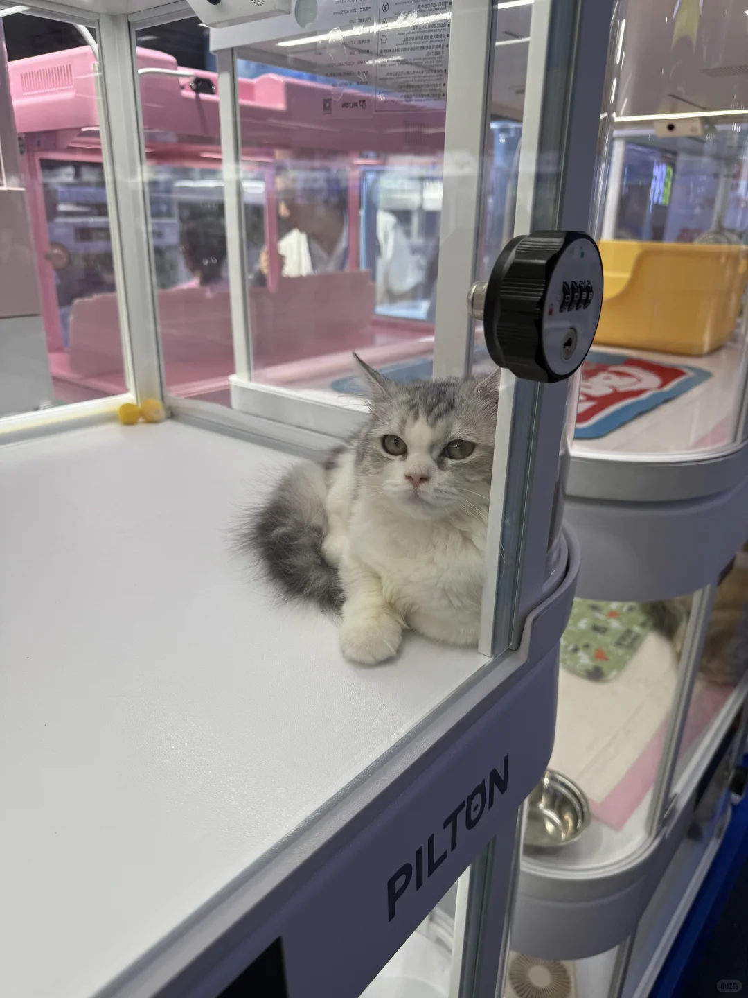 记最扯淡的一次出展记录5