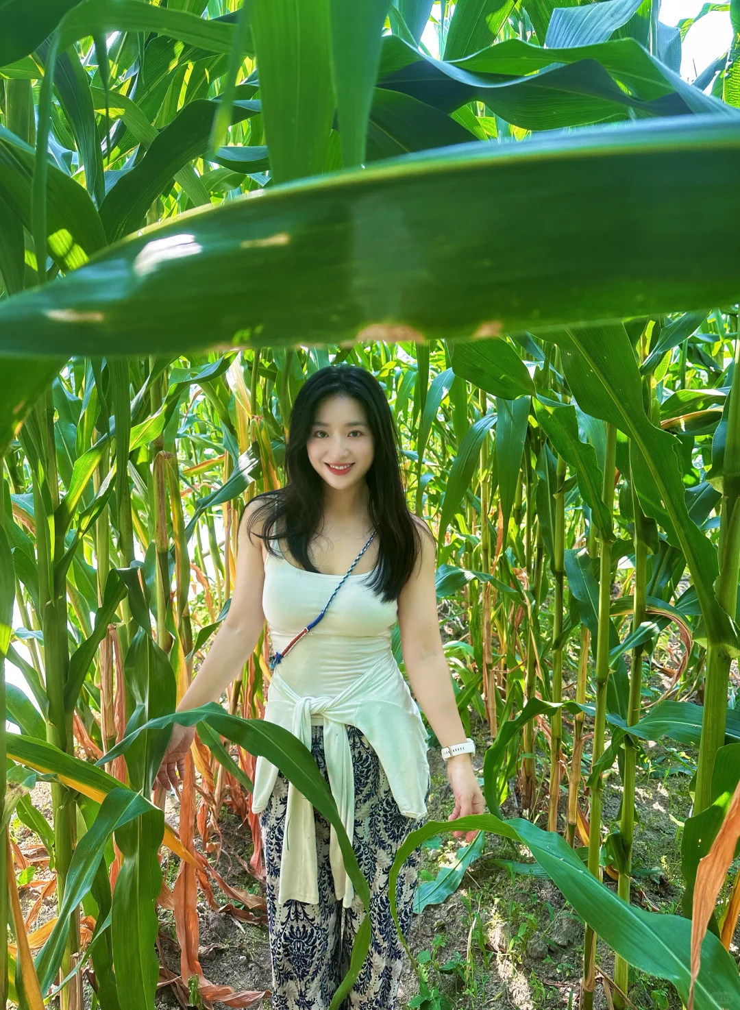 走进庄稼地感受大自然