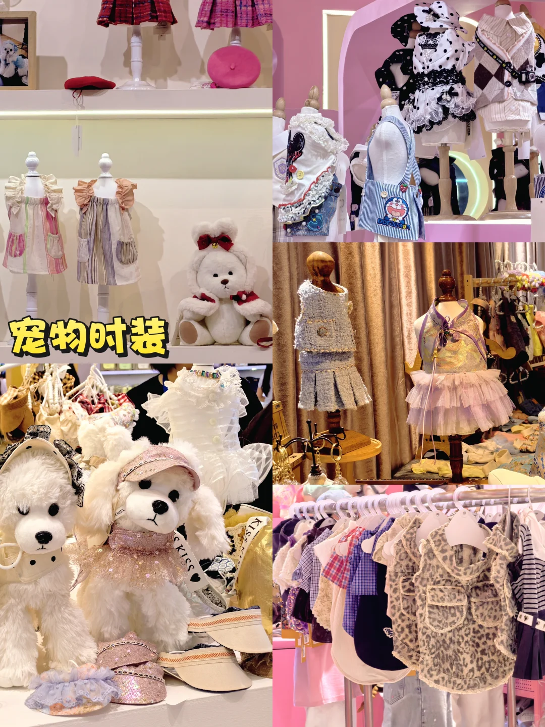 上海展会｜亚宠展2025