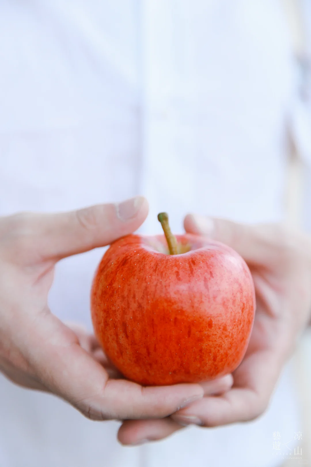 从日常到远方: 朱星海的生活方式设计展