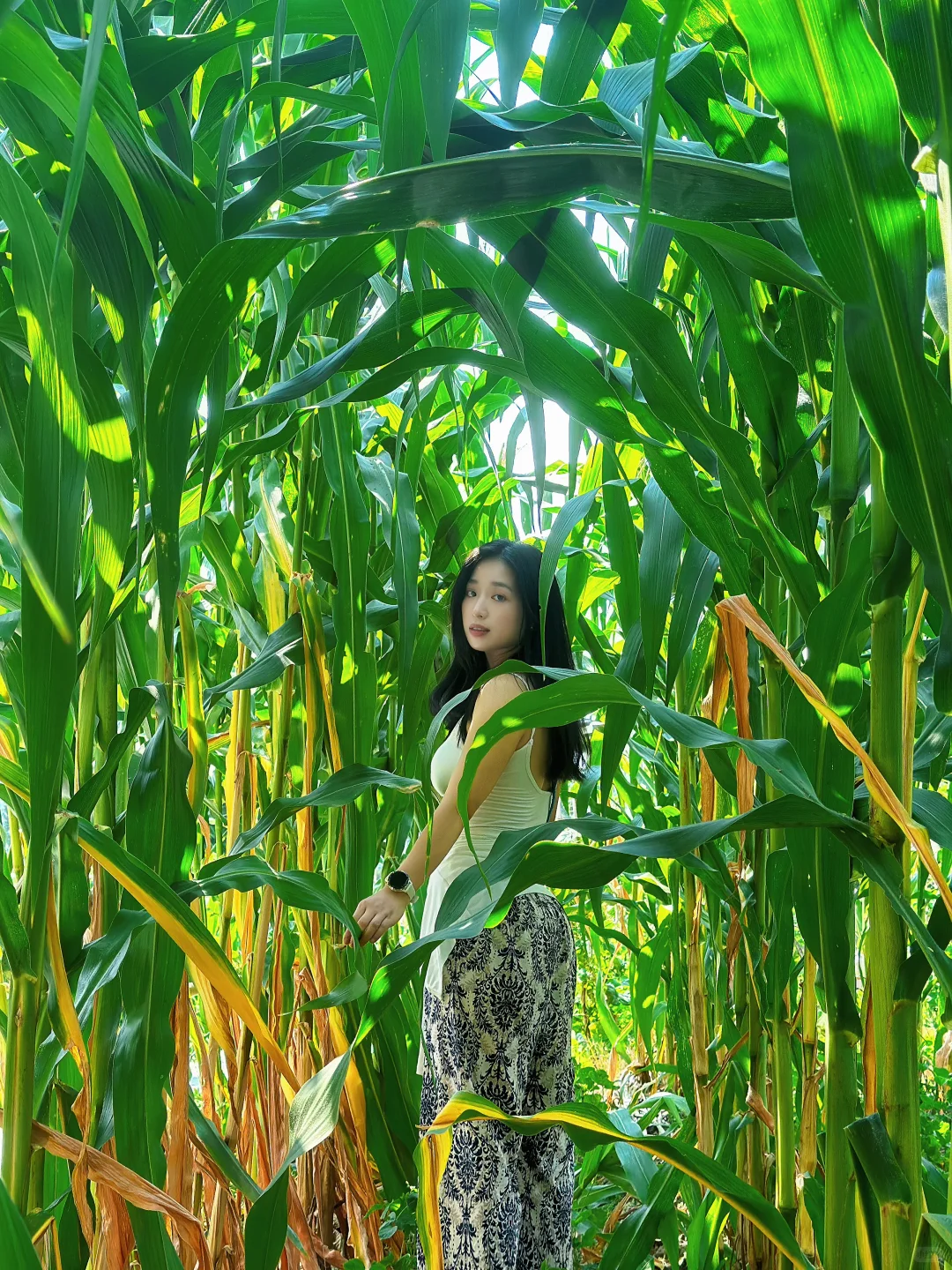 走进庄稼地感受大自然