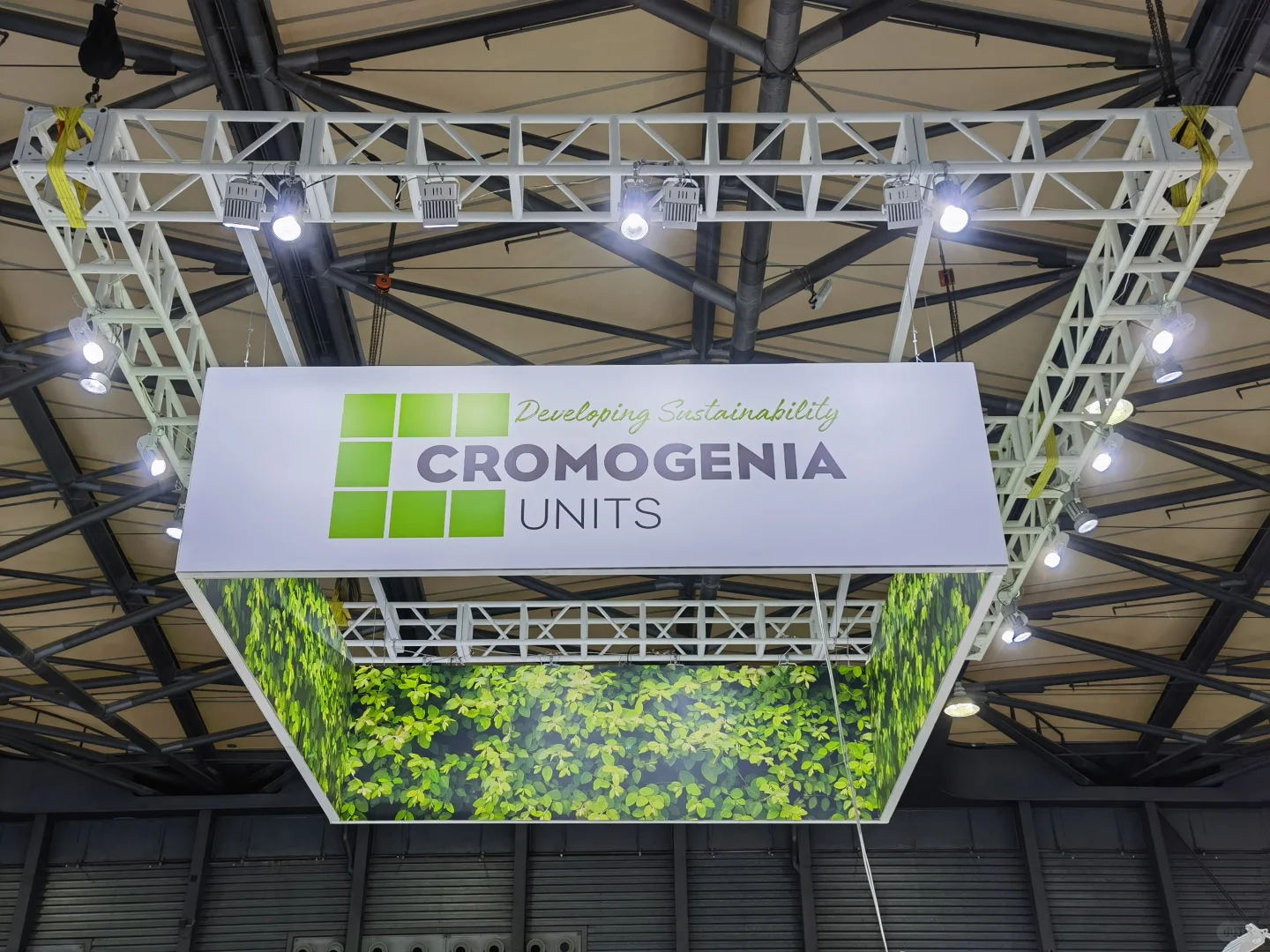 ACLE 2024 ➠ CROMOGENIA