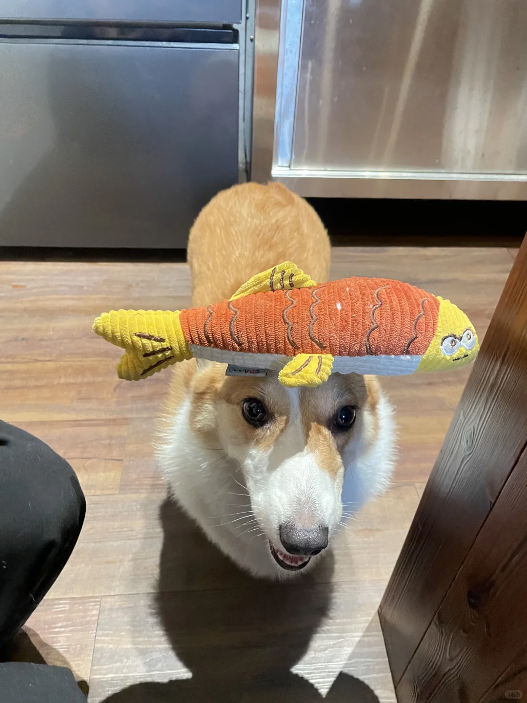 158 53kg|已婚35岁周末在泉州plog