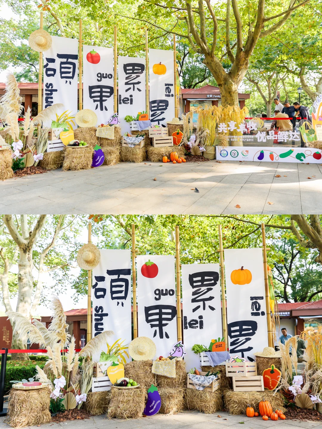 农产品市集案例?把烟火气搬进公园