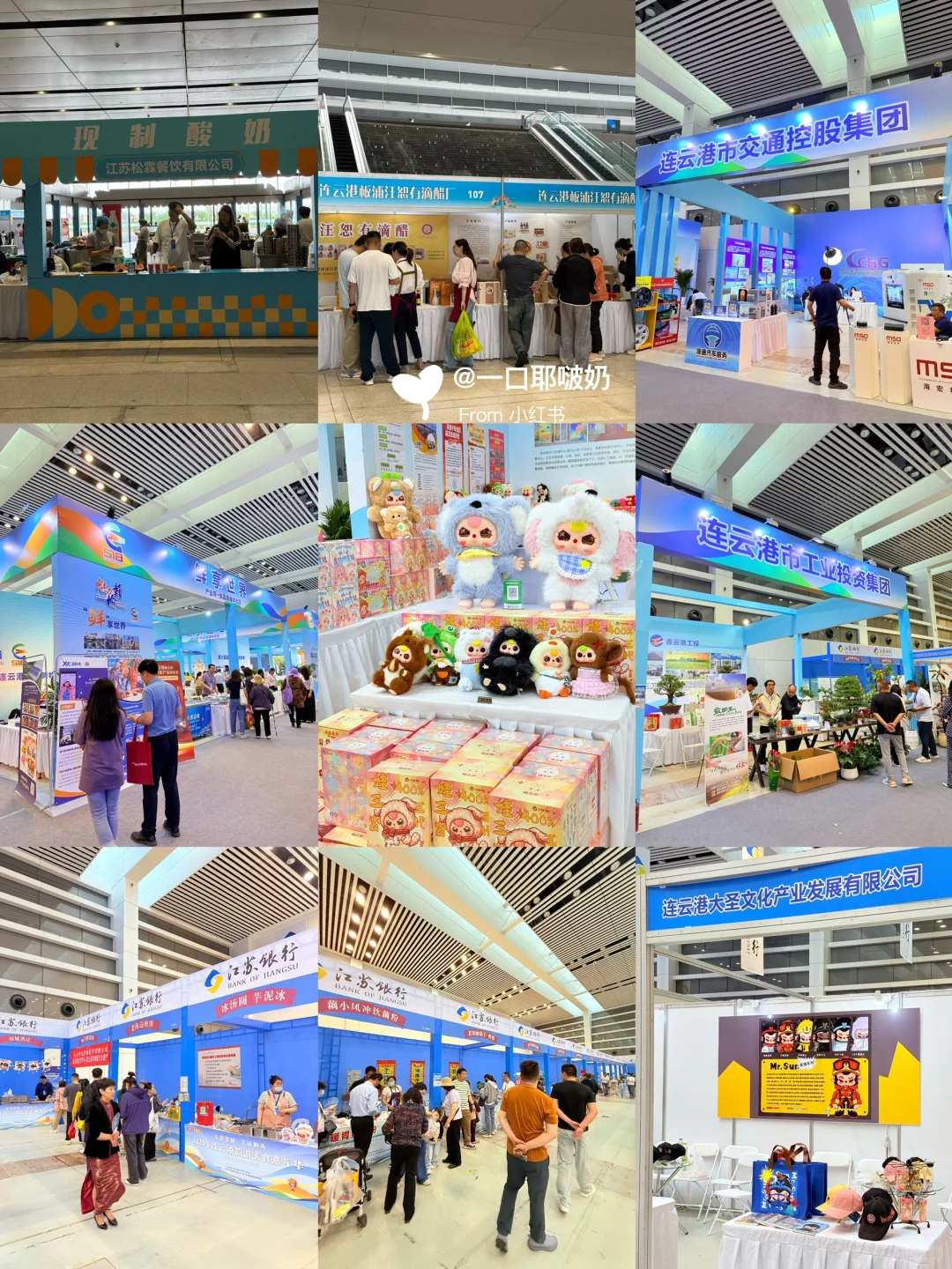 本周末！我宣布连云港人都会去这薅羊毛……