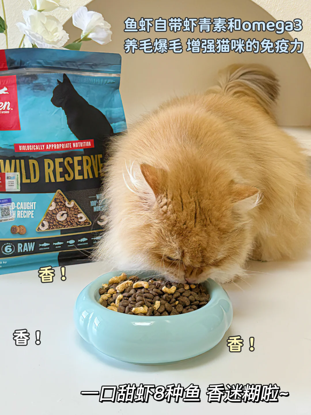 亚宠展薅羊毛全攻略，养宠人这篇够你抄作业