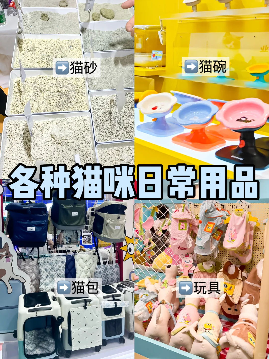 亚宠展薅羊毛全攻略，养宠人这篇够你抄作业