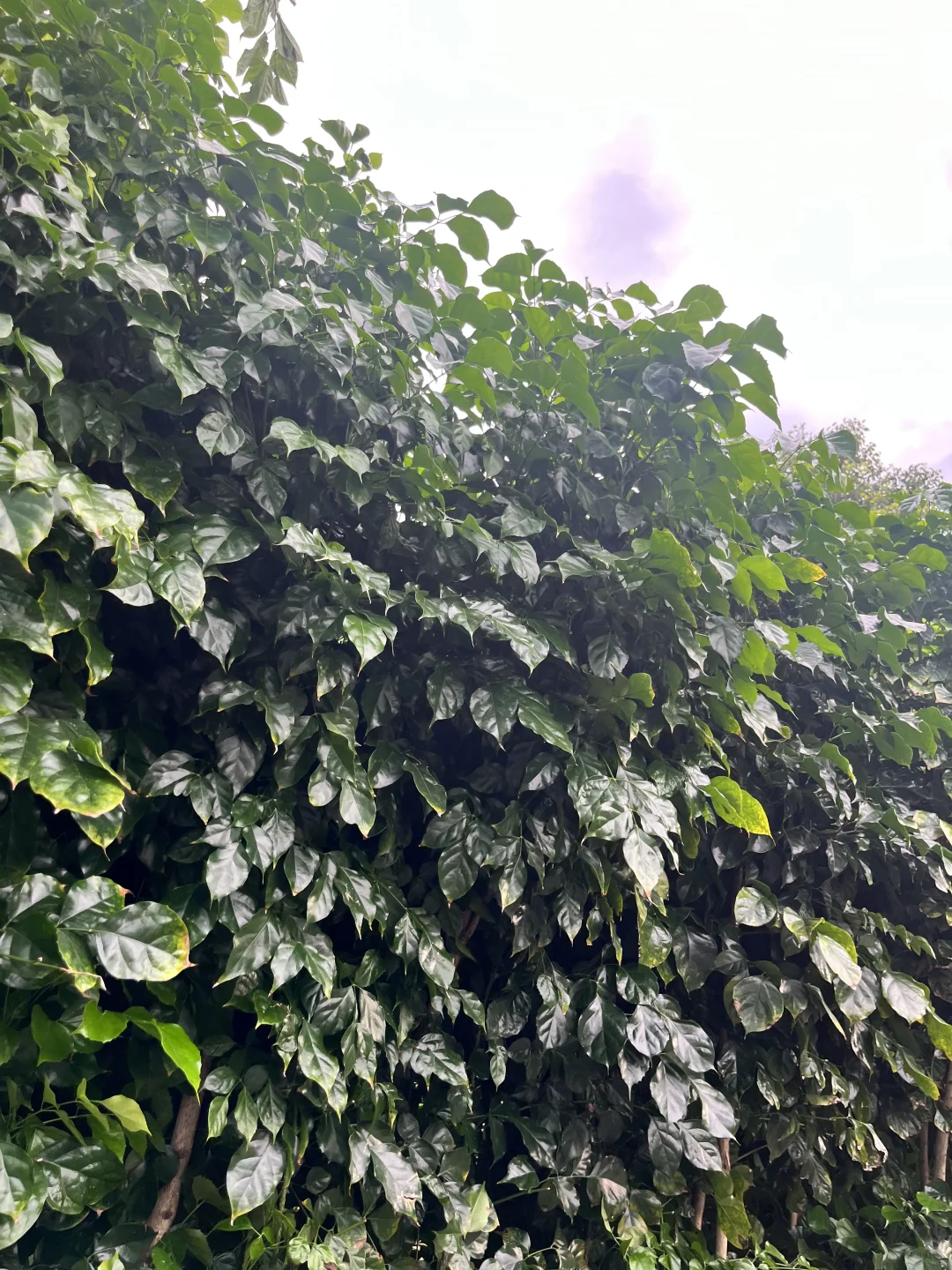 30➕的姐姐依旧有颗少女心呀