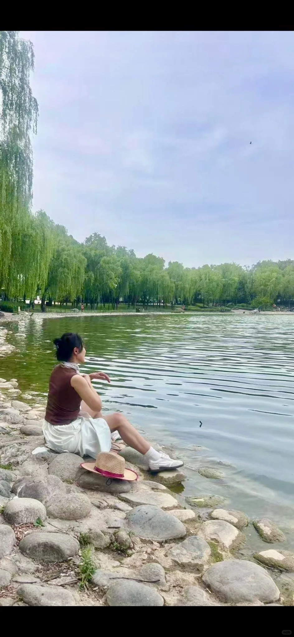 退休阿姨的日常