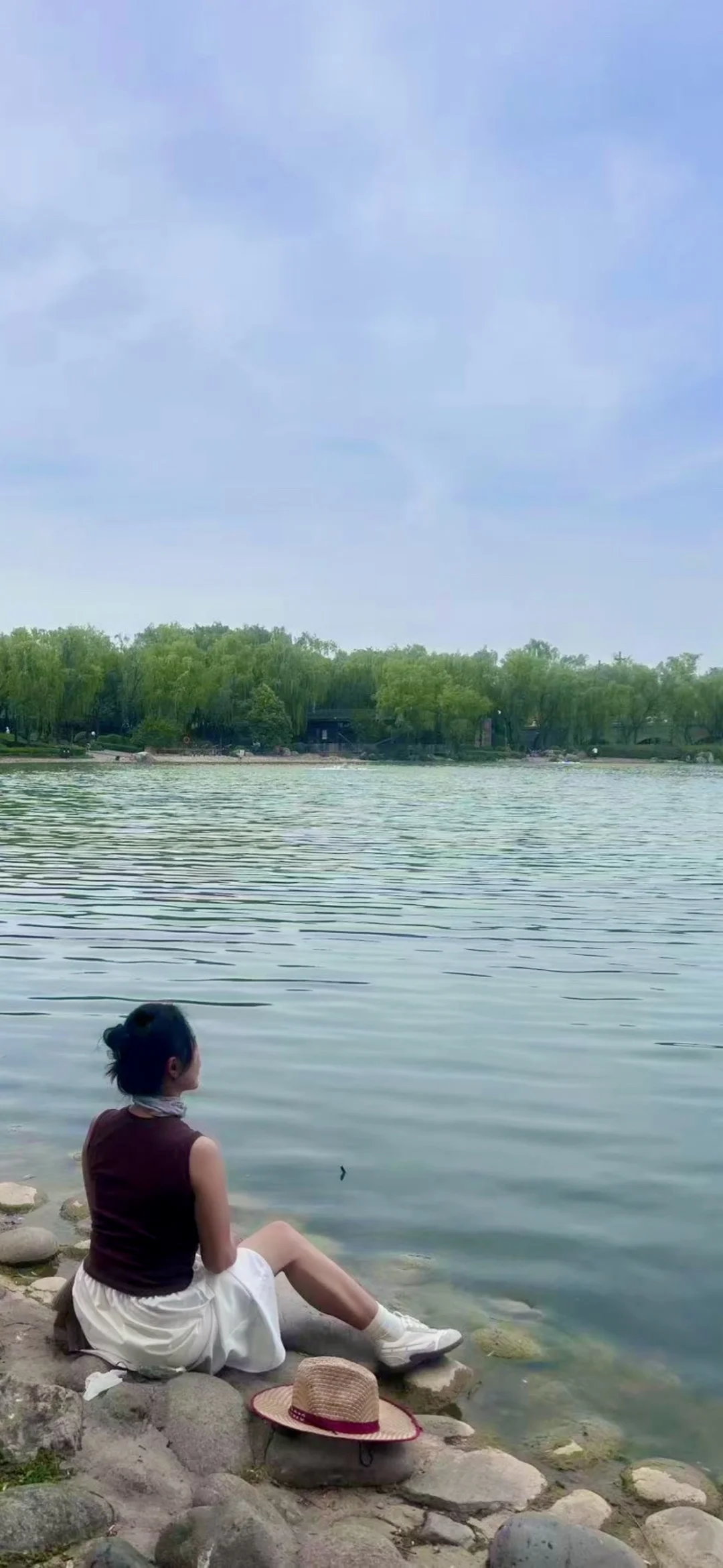 退休阿姨的日常