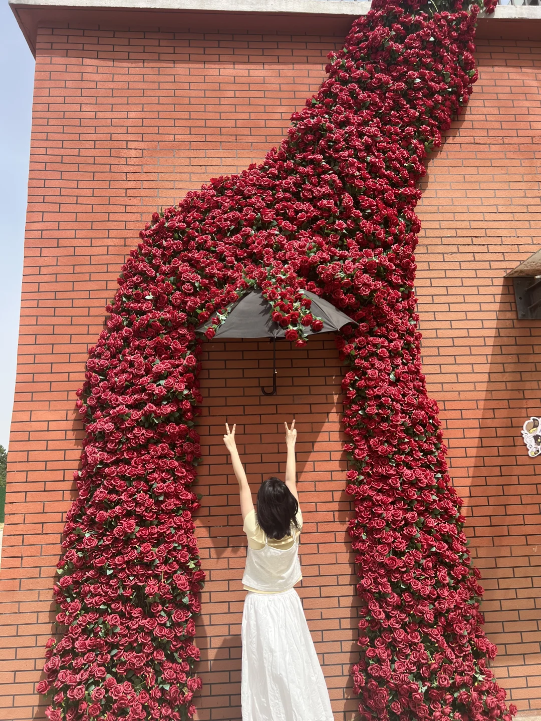 洛阳遛娃新地标！阳光里工业园免费玩到嗨