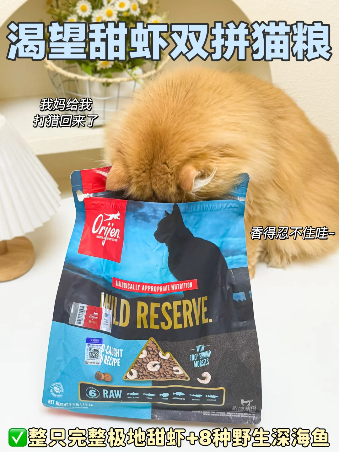 亚宠展薅羊毛全攻略，养宠人这篇够你抄作业