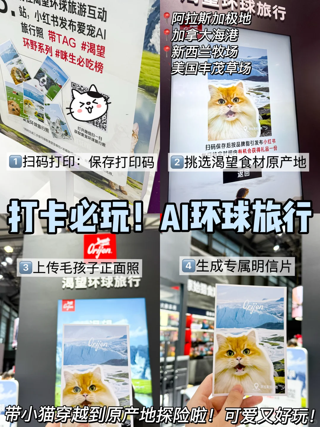 亚宠展薅羊毛全攻略，养宠人这篇够你抄作业