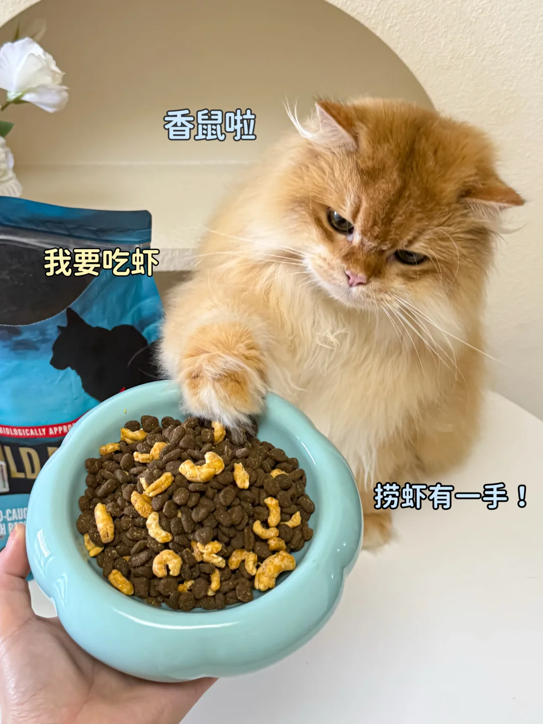 亚宠展薅羊毛全攻略，养宠人这篇够你抄作业