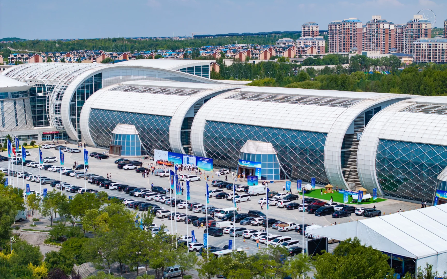 今日 盛大开幕！