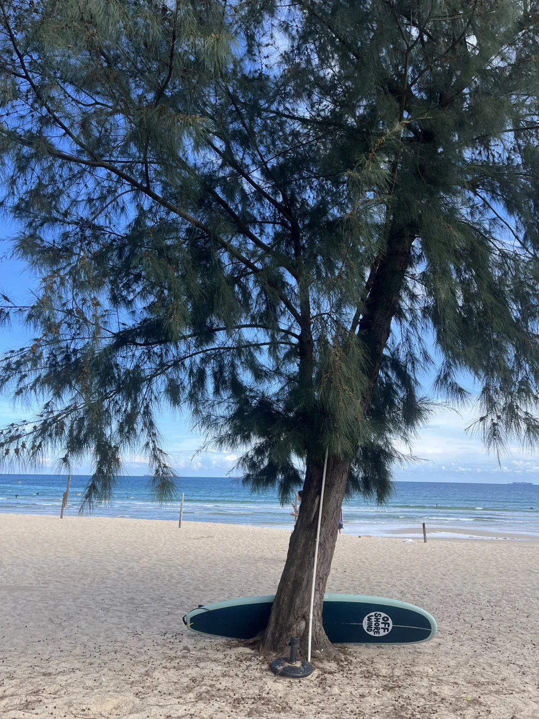 今天不赶时间，只赶浪?