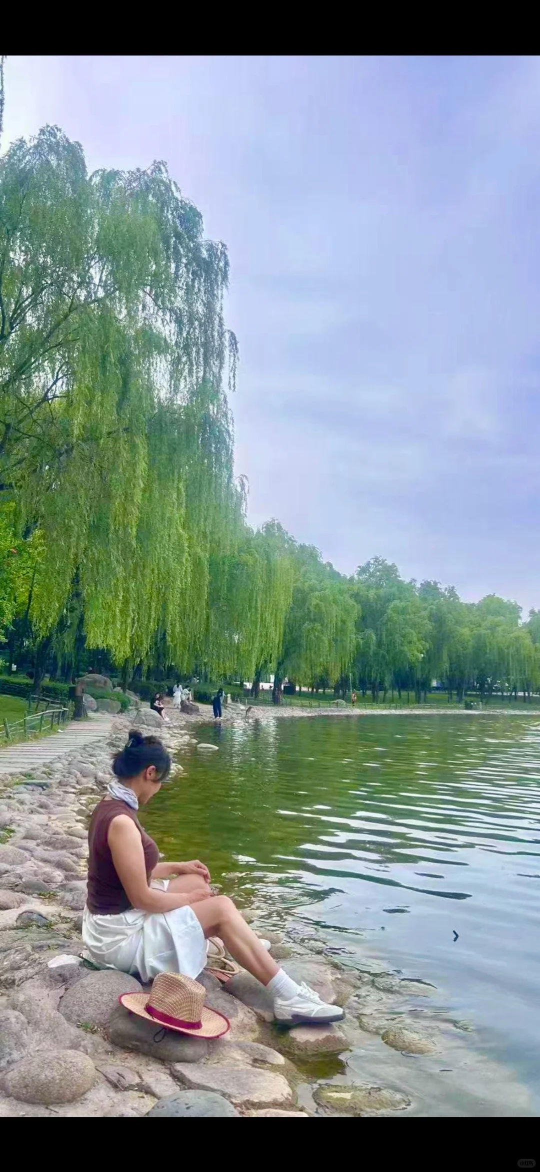 退休阿姨的日常