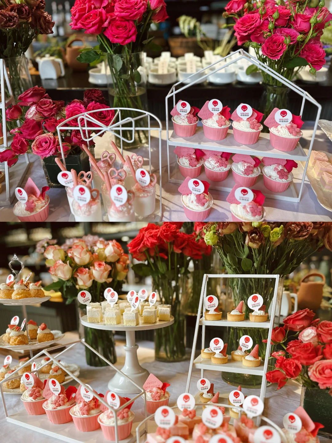 众信旅游✈️招商会 这个场地也太适配了吧!