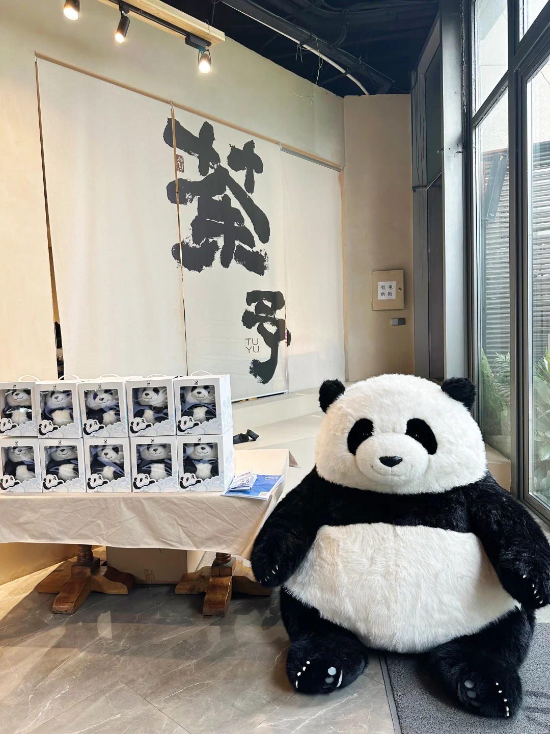 众信旅游✈️招商会 这个场地也太适配了吧!