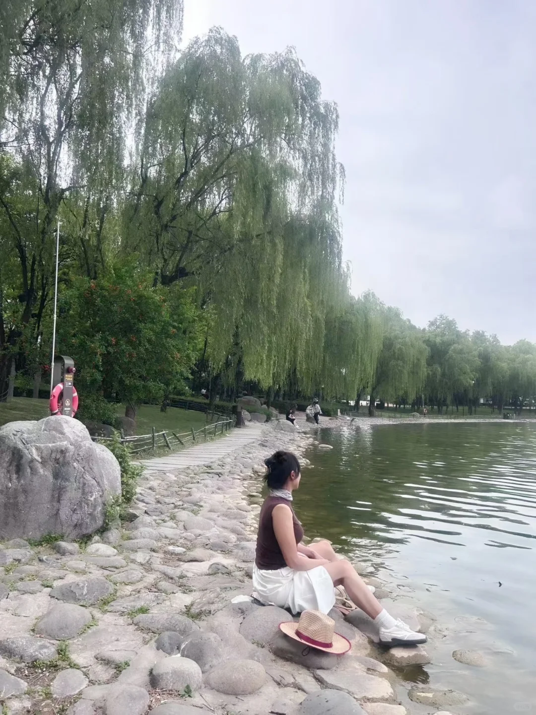 退休阿姨的日常