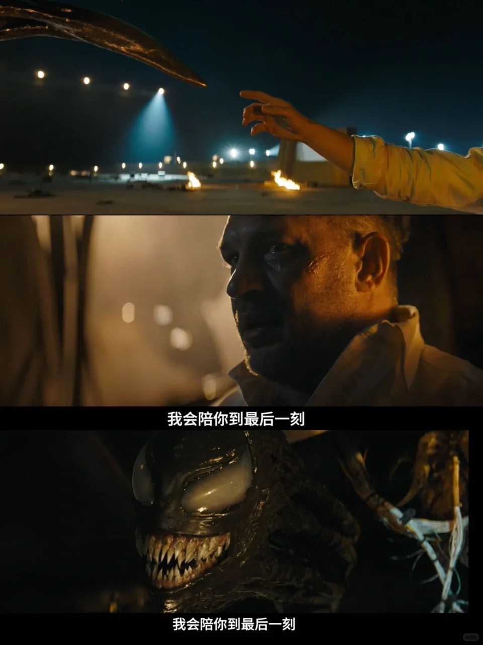 原来毒液才是真正的“嘴甜王者”