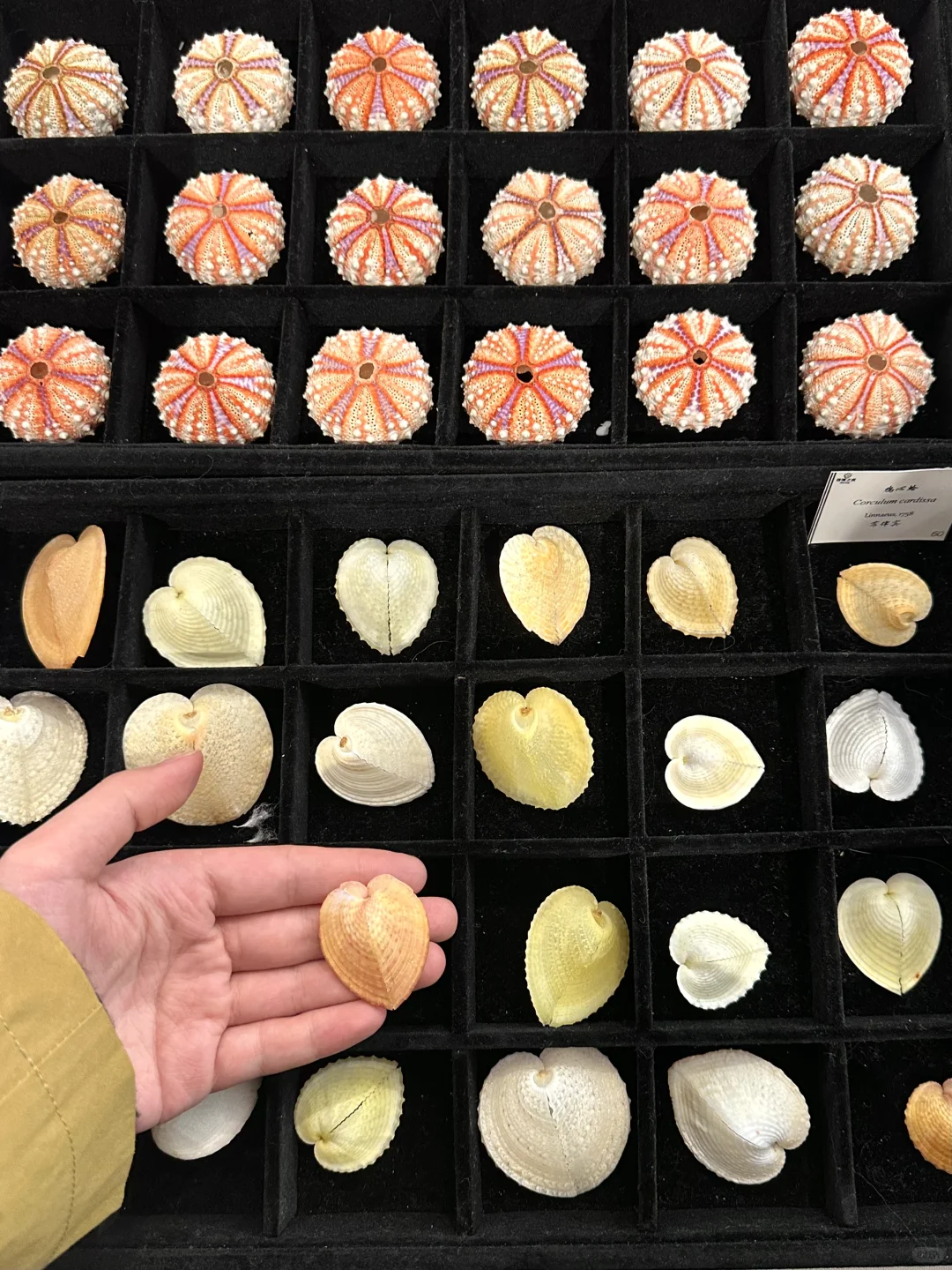 卧槽！！济南今天这是啥情况啊?。。。