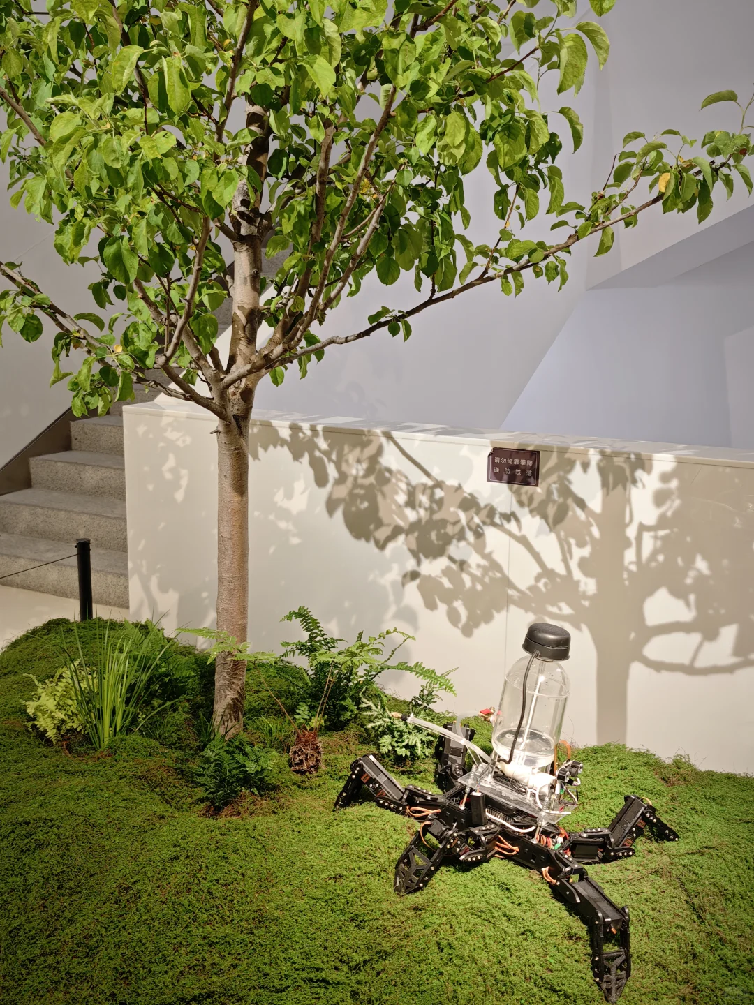 央美的毕业展看得我很爽