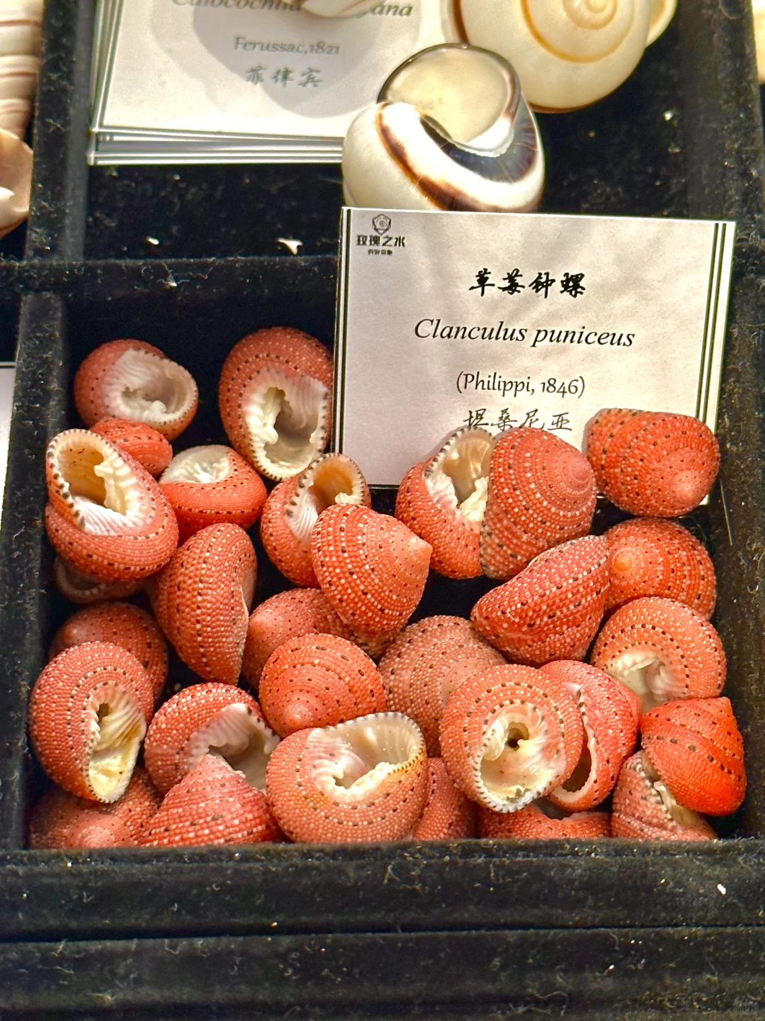 卧槽！！济南今天这是啥情况啊?。。。