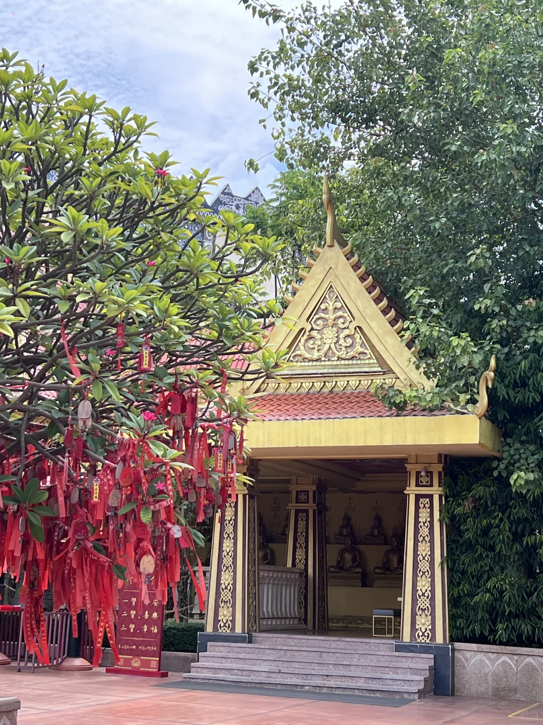 热辣辣的? 中暑前一刻 拍几张?