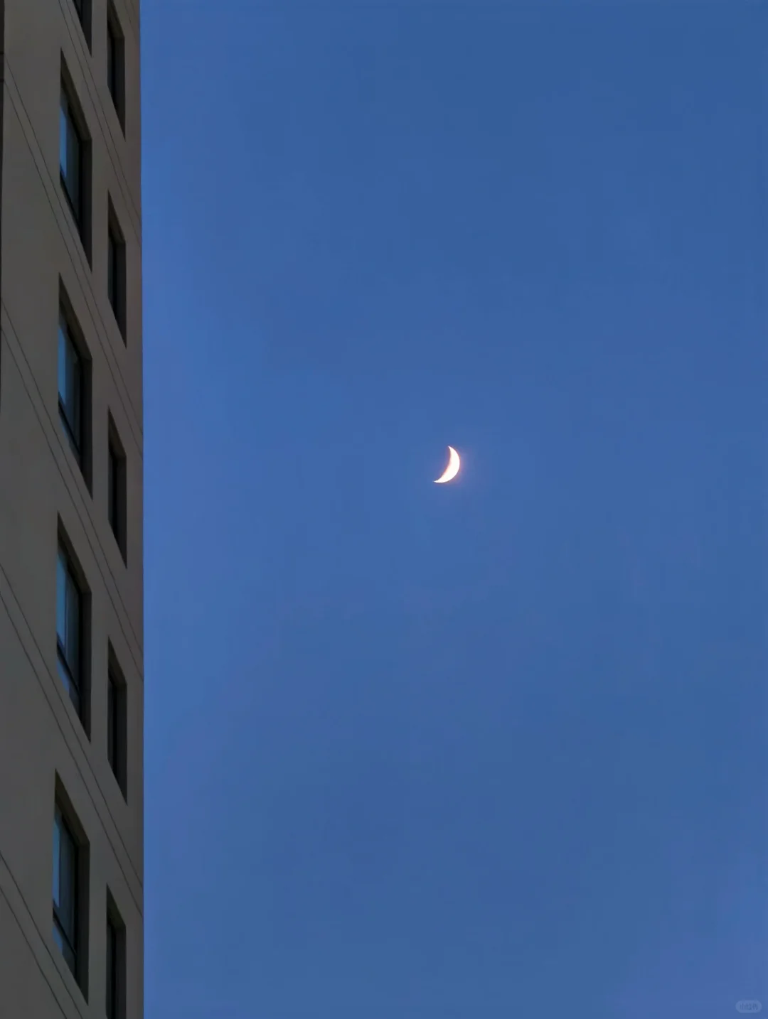 33岁未婚未育，一个人，也在有好好过周末