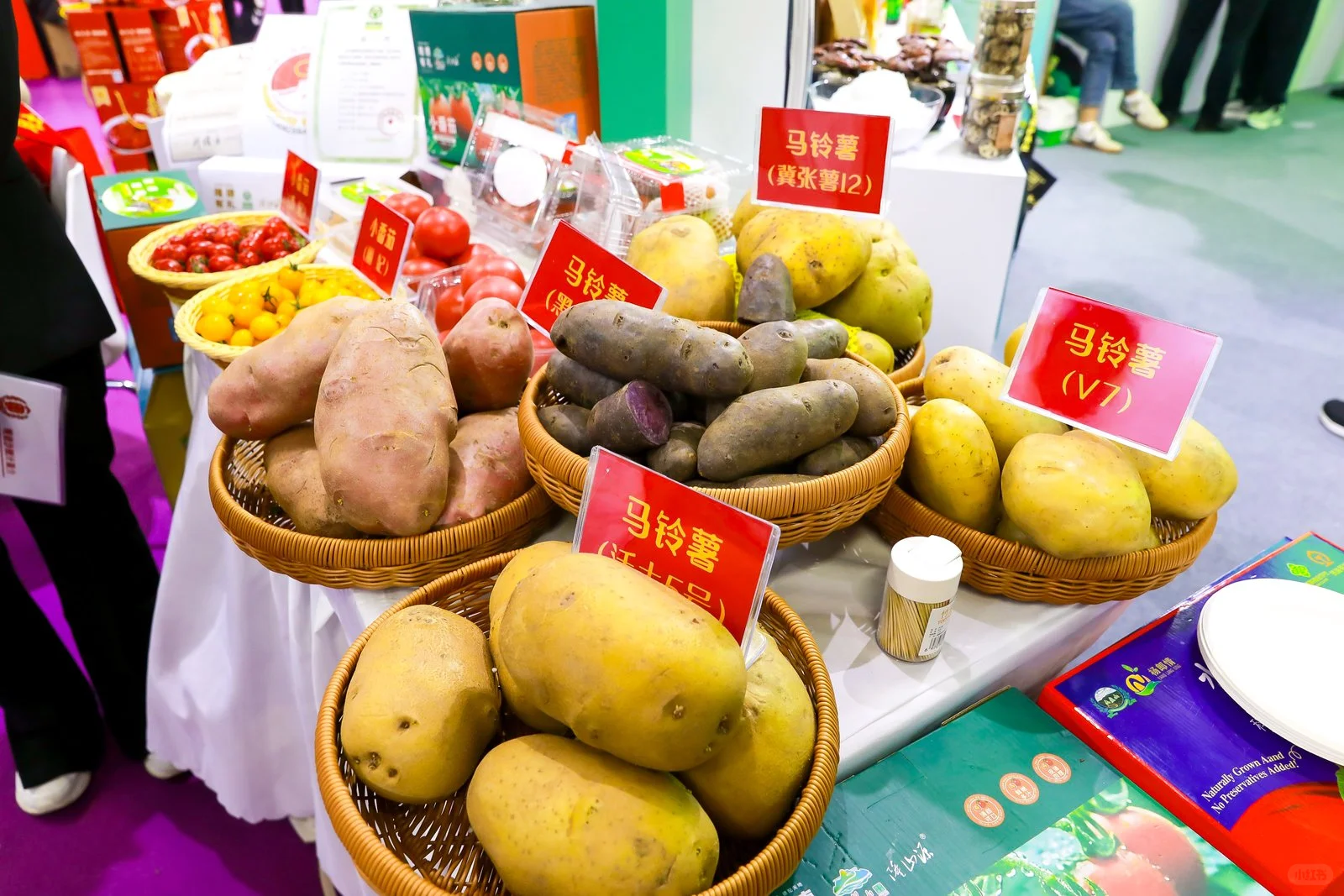 宁夏固原农文旅进京展特色