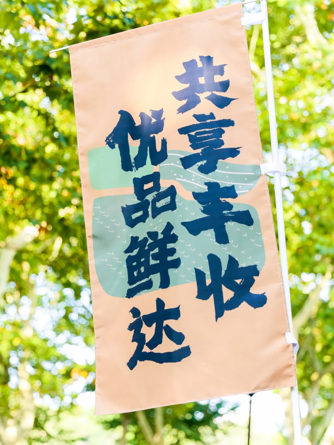 世界粮食日粮食安全宣传美陈设计 | 案例分