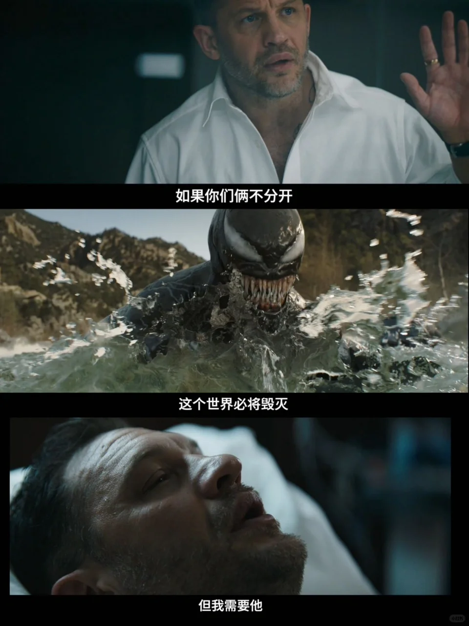 原来毒液才是真正的“嘴甜王者”