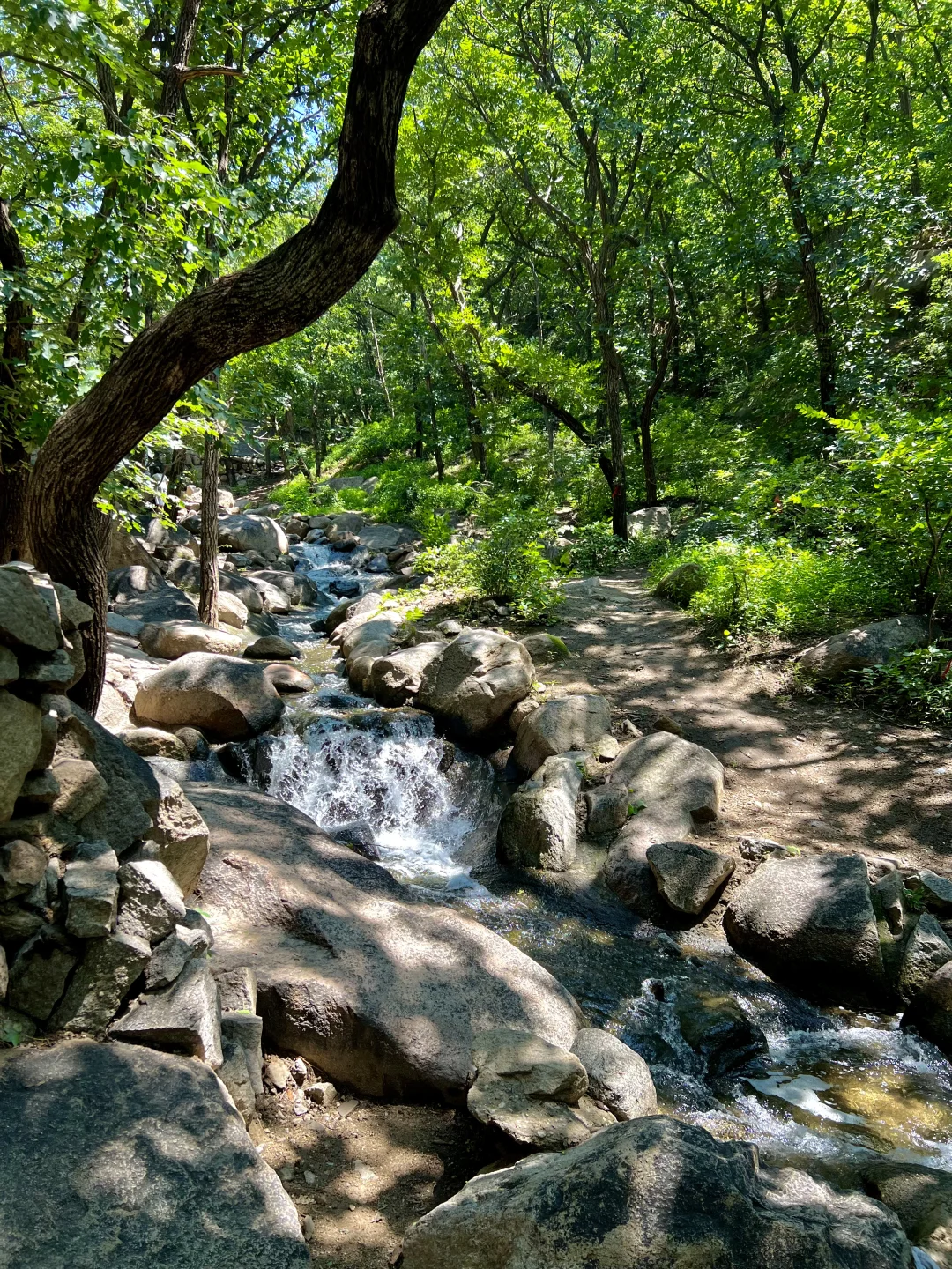 北京，终于等到雨过天晴