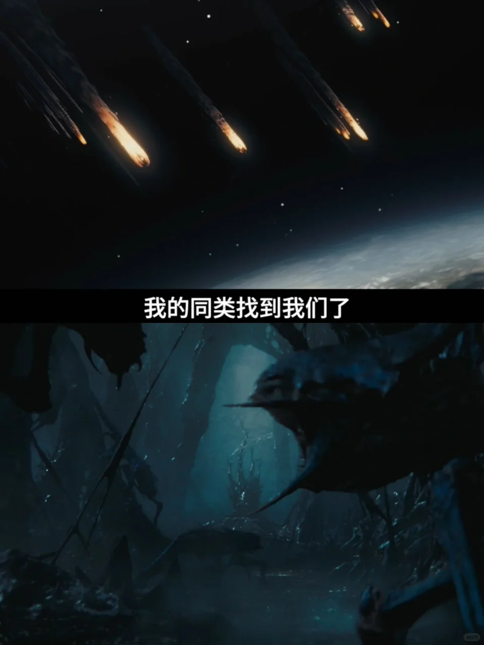 原来毒液才是真正的“嘴甜王者”