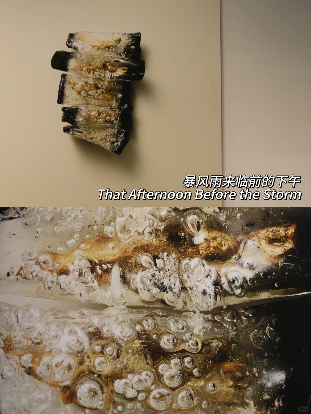 北京新展！三里屯这个艺术展太适合拍照啦！