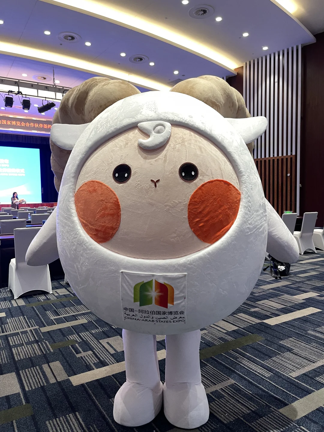 中阿博览会寻找志愿者啦