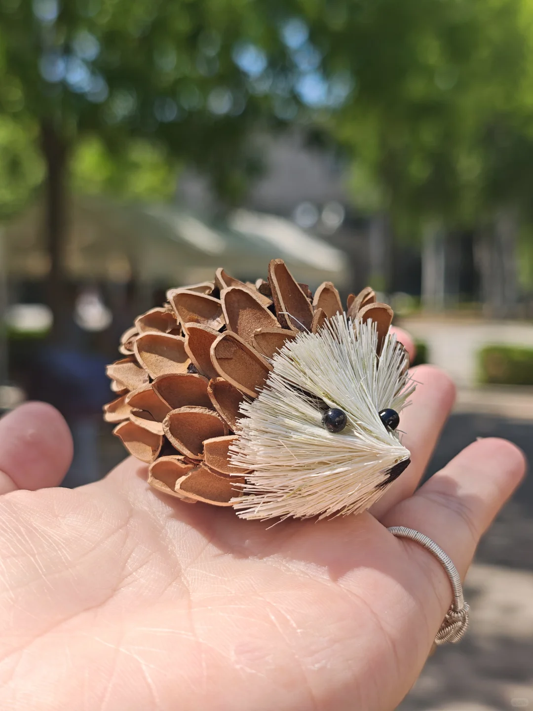 央美的毕业展看得我很爽