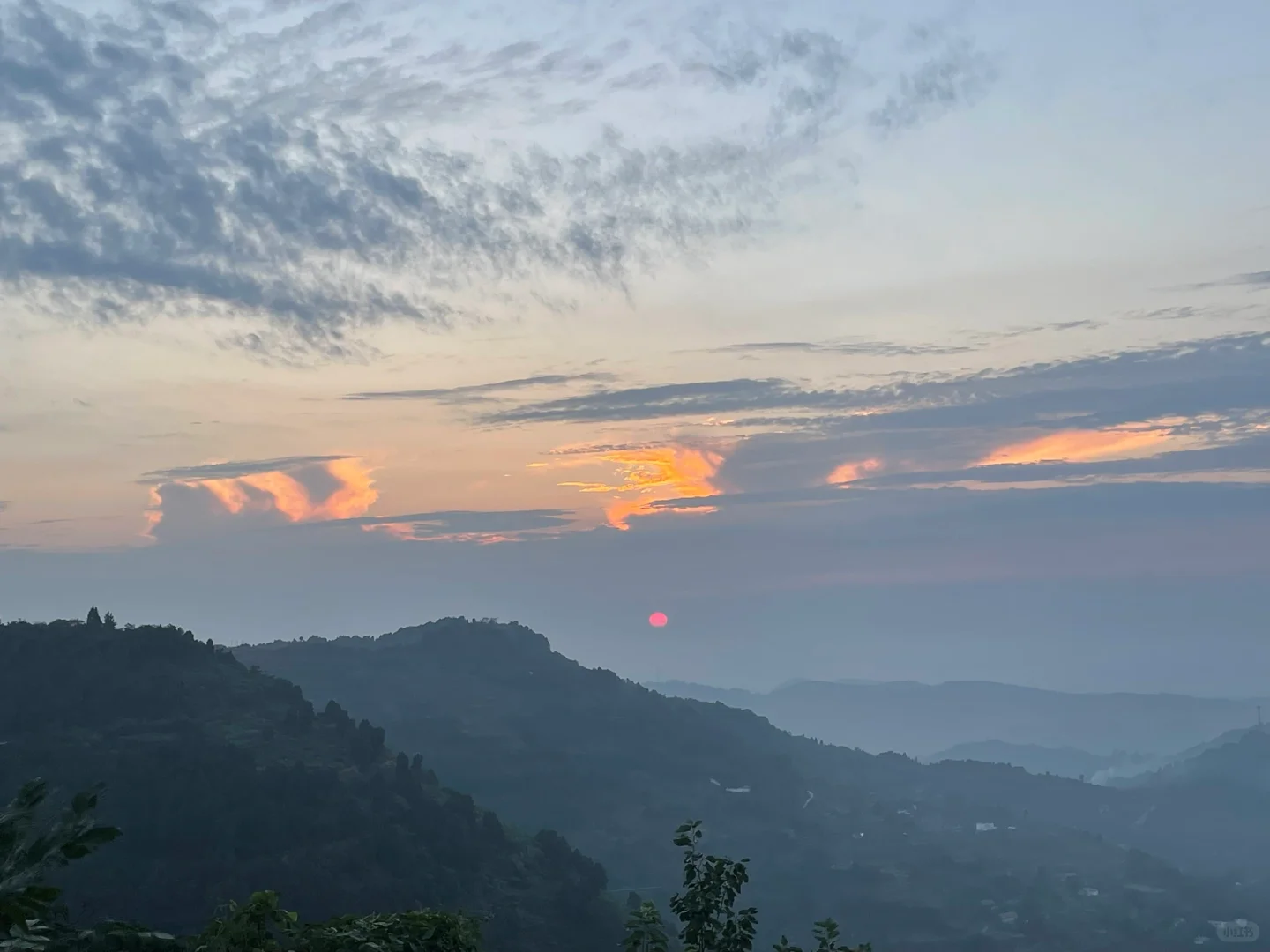 操 我就要他妈的 真诚