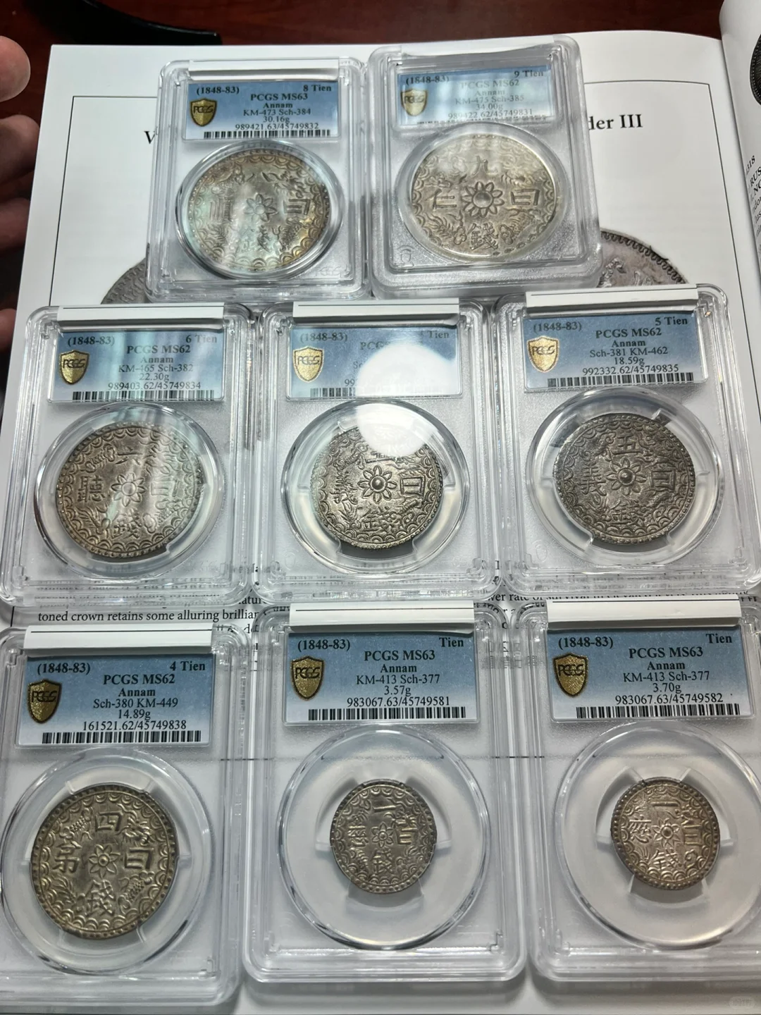 香港钱币展销会|钱币收藏|03.16