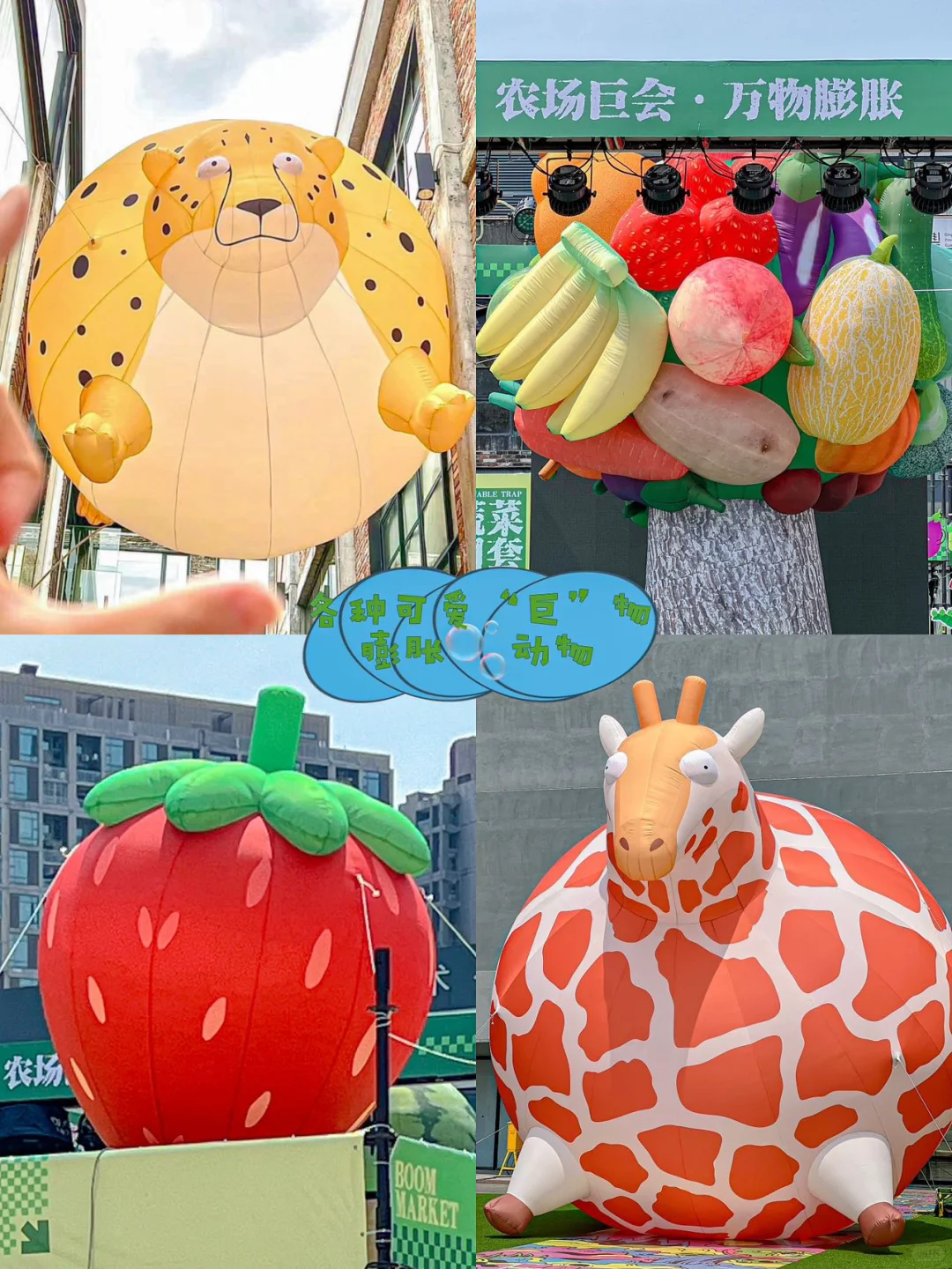 农场“巨”会?一起来逛蔬菜集市?‍?