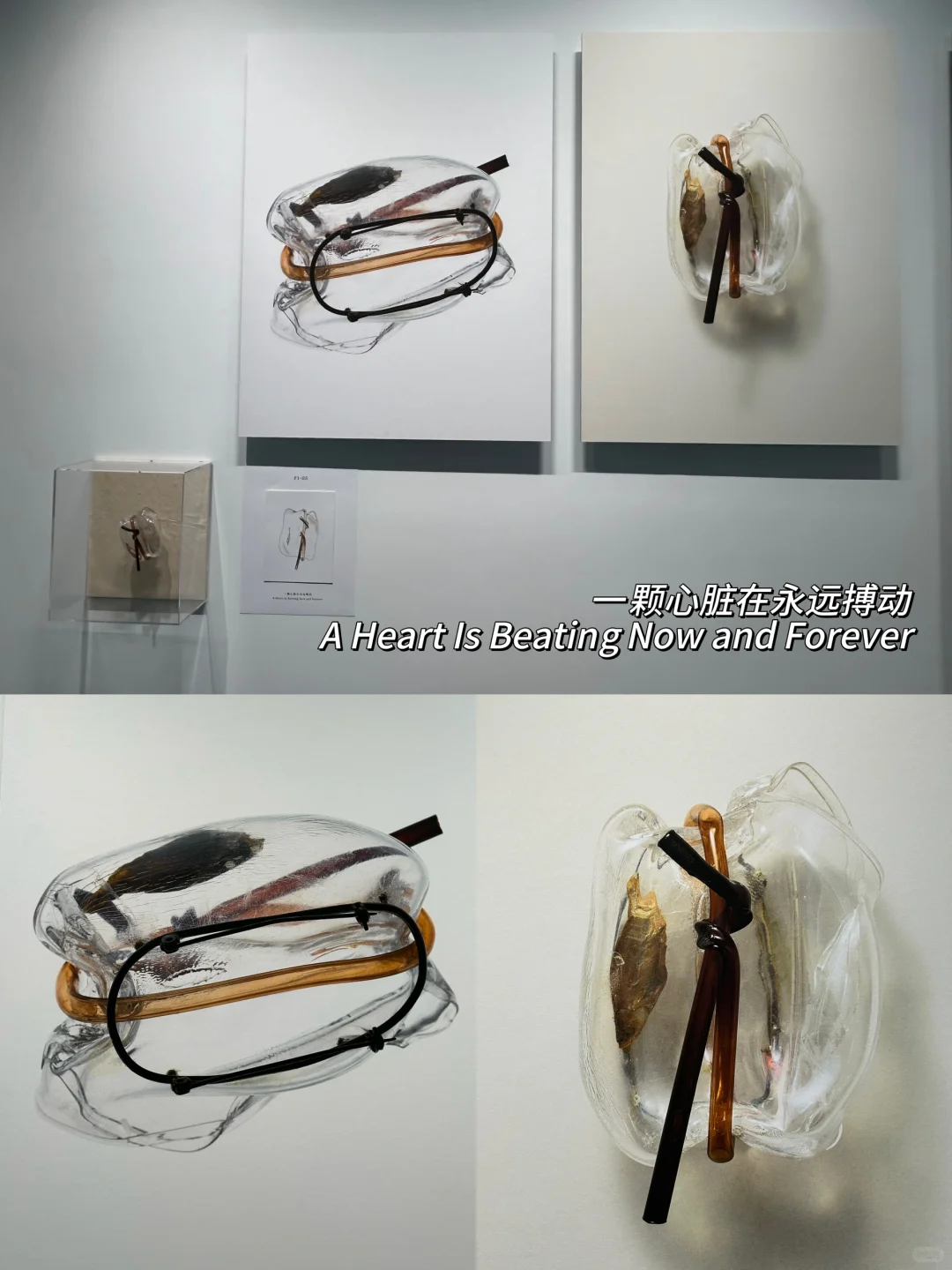 北京新展！三里屯这个艺术展太适合拍照啦！