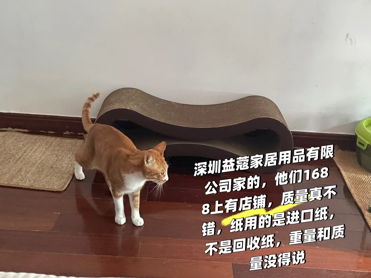 亚宠展三年不排队，避坑指南直面厂家取真经